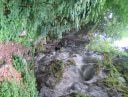 les gorges des Tines